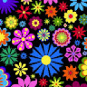 Meet your Posher, Hazel